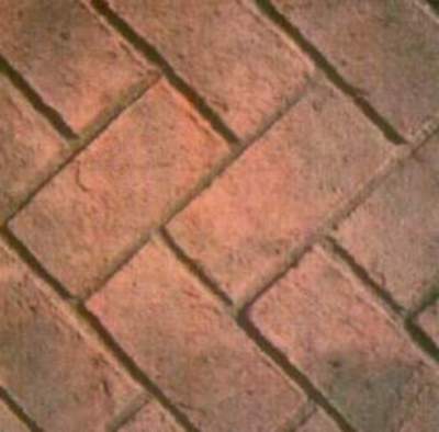 foto22.jpg (17178 bytes)
